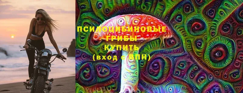 Псилоцибиновые грибы Cubensis  Краснознаменск 